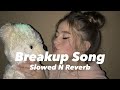 The Breakup Song Slowed N Reverb