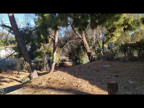 🌲🐴 Ranch with 1 acre for SALE in Perris Ca. 🐔🐔
