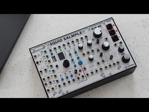 My Modular "Akai S950" Sampler - ALM Busy Circuits Squid Salmple & MUM M8 Filter