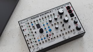 Video thumbnail for My Modular "Akai S950" Sampler - ALM Busy Circuits Squid Salmple & MUM M8 Filter by Faux Black