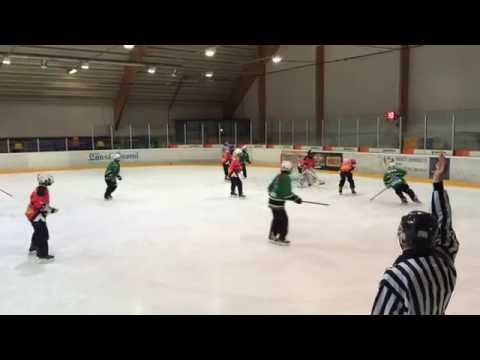 CSM Seven Ringettes-FoPS