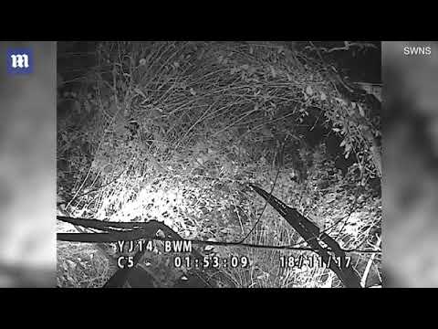 Drunken teenagers steal bus and go for joyride before crashing it