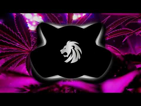 Coolaid 2017 | BASS BOOSTED