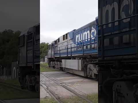 Trem em PIRAQUARA PR  #train