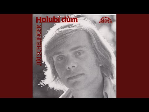 Holubí dům