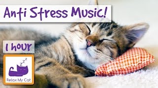 Anti-Stress Piano and Violin Music for Cats and Kittens, End Stress With Relaxation Music 🐱