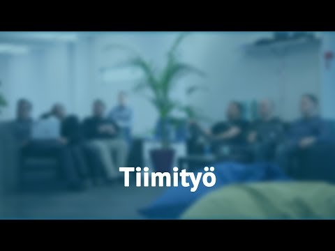 Tiimityö — Mystesläisten kokemuksia