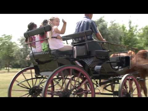 Második családi lovasnap