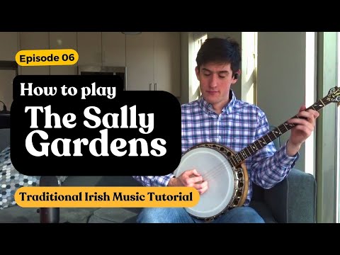 Learn The Sally Gardens - Irish Music Tutorial by James Finnegan