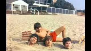 Take Good Care Of My Baby- Micky Dolenz