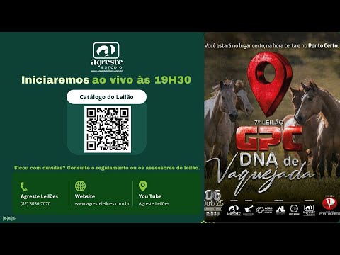 7° LEILÃO GRUPO PONTO CERTO - DNA DE VAQUEJADA - 06.10.2025