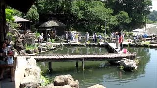 preview picture of video '小諸市,「松井農園」のつりぼり、ブルーベリー狩り. Matsui Farm in Komoro city.'