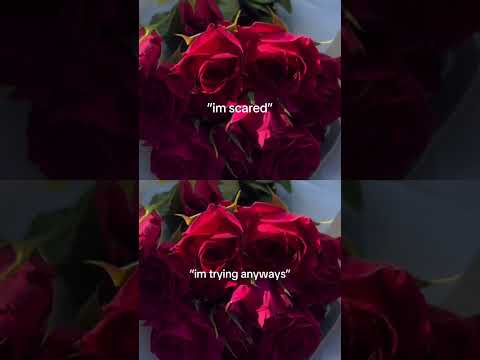 Video by Mafe Anzures