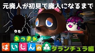 【🔴生放送】タランチュラが許せない【あつ森】