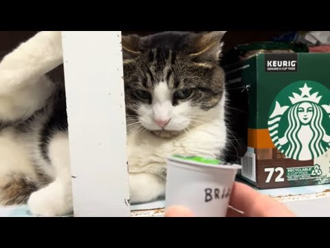 Mi-ke will not tolerate coffee theft! (My favorite Mi-ke vid so far!)