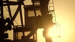 You Freud, Me Jane - Tongue