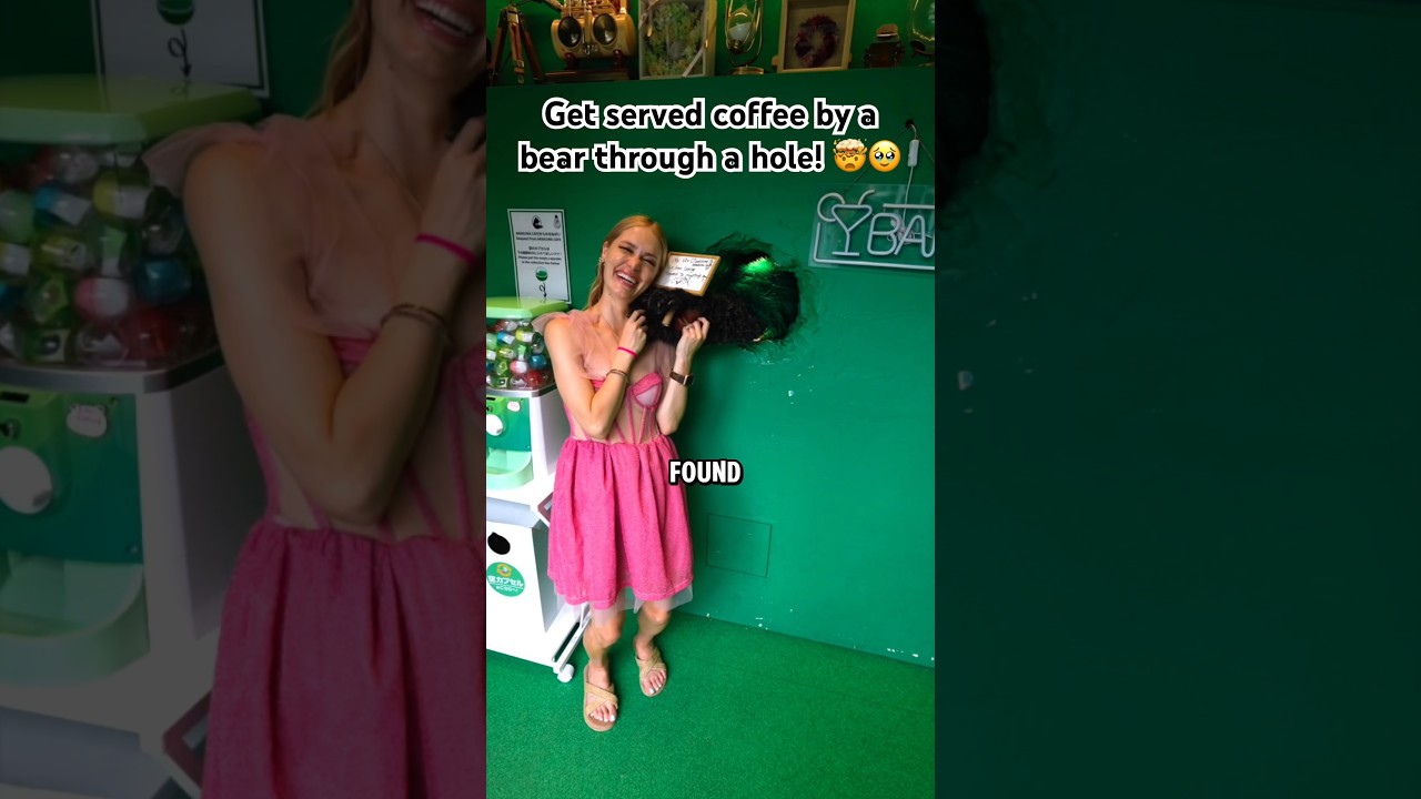 An introvert contactless cafe where a bear serves you through a hole in the wall in Tokyo! #shorts
