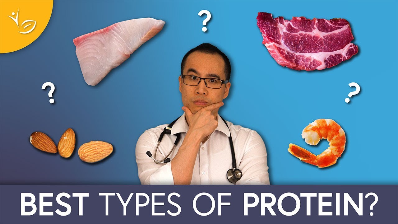 Best Proteins and Fats for Losing Belly Fat