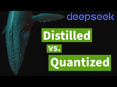 DeepSeek R1: Distilled & Quantized Models Explained