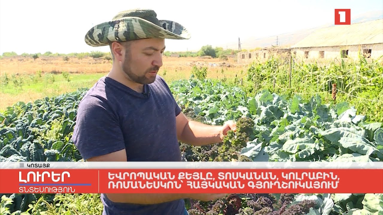 Եվրոպական քեյլը, տոսկանան, կոլրաբին, ռոմանեսկոն՝ հայկական գյուղշուկայում