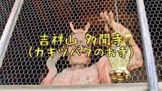 2021.04.25 舞子・多聞寺(カキツバタのお寺)