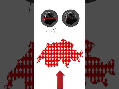 What is the link between mycotoxins, moulds and the Swiss? - La Minuterie