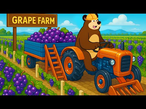 Farmer And Tractor: Grape Harvesting and Growing Process on a Modern Farm | Vehicles Farm
