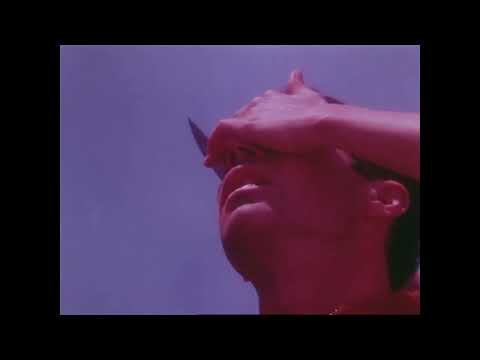 Varnish La Piscine - Salvia Rosmarinus (intro loop)