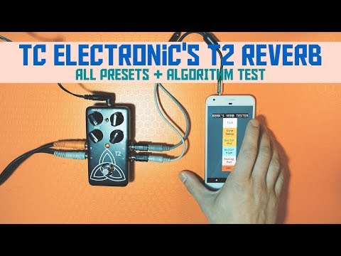 $150 TC Electronic T2 Reverb - All Presets and Stress Test.