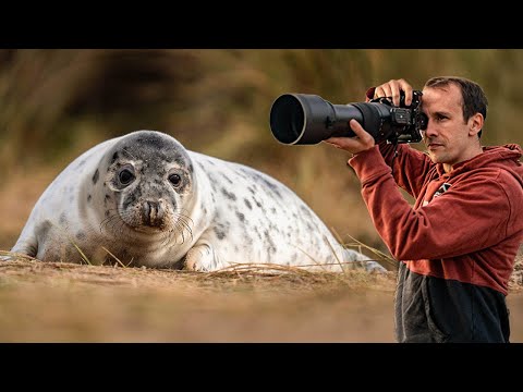 5 Things you NEED to know before you buy the Sigma 150-600