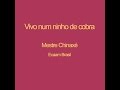 Vivo num ninho de cobra 