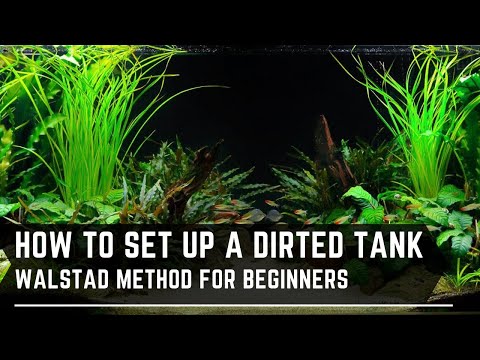 How to Set Up a Walstad Method Tank - Dirted Tanks for Beginners