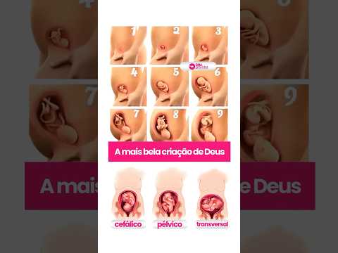 A mais bela criação de Deus