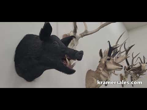 Kramer Auction Service - Summer 2023 Emporium Ammo & Gun Sale