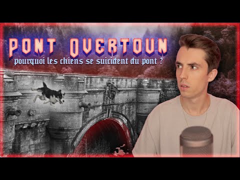 Tous les chiens se suicident de ce pont : LE PONT OVERTOUN !