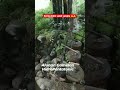 Suara Gamelan Misterius Ternyata Ini