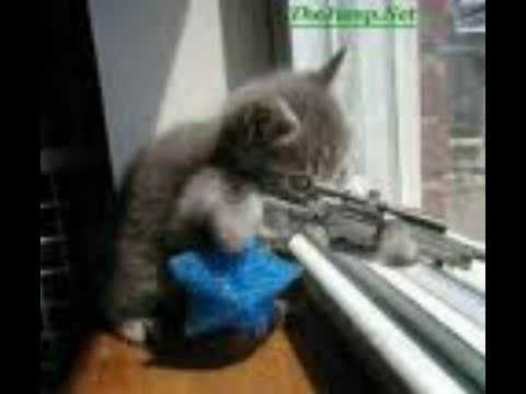 jimbo2k-Immer weiter