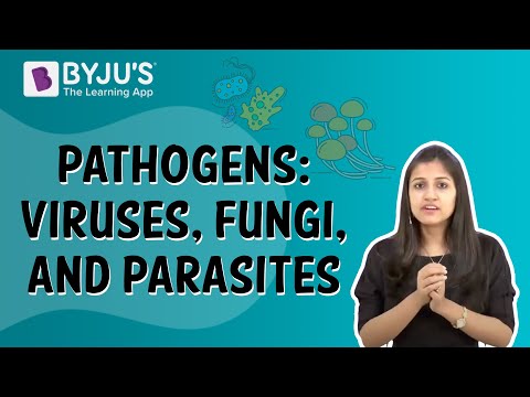 Pathogens: Viruses, Fungi, And Parasites | Class 9 | Learn With BYJU'S