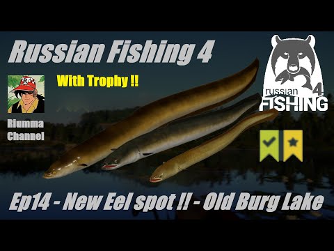 Russian Fishing 4- Ep14 - New Eel spot !! - Old Burg Lake - Trophy catch!!