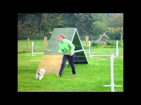Cerrig Agility training 10th September 2014