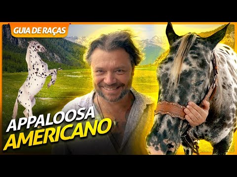 , title : 'APPALOOSA, O CAVALO PINTADO DOS ÍNDIOS NORTE AMERICANOS! | RICHARD RASMUSSEN'