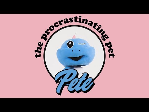 Indoor Pets - Pro Procrastinator