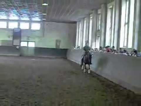 Ausschnitte S-Dressur Loriot in memoriam