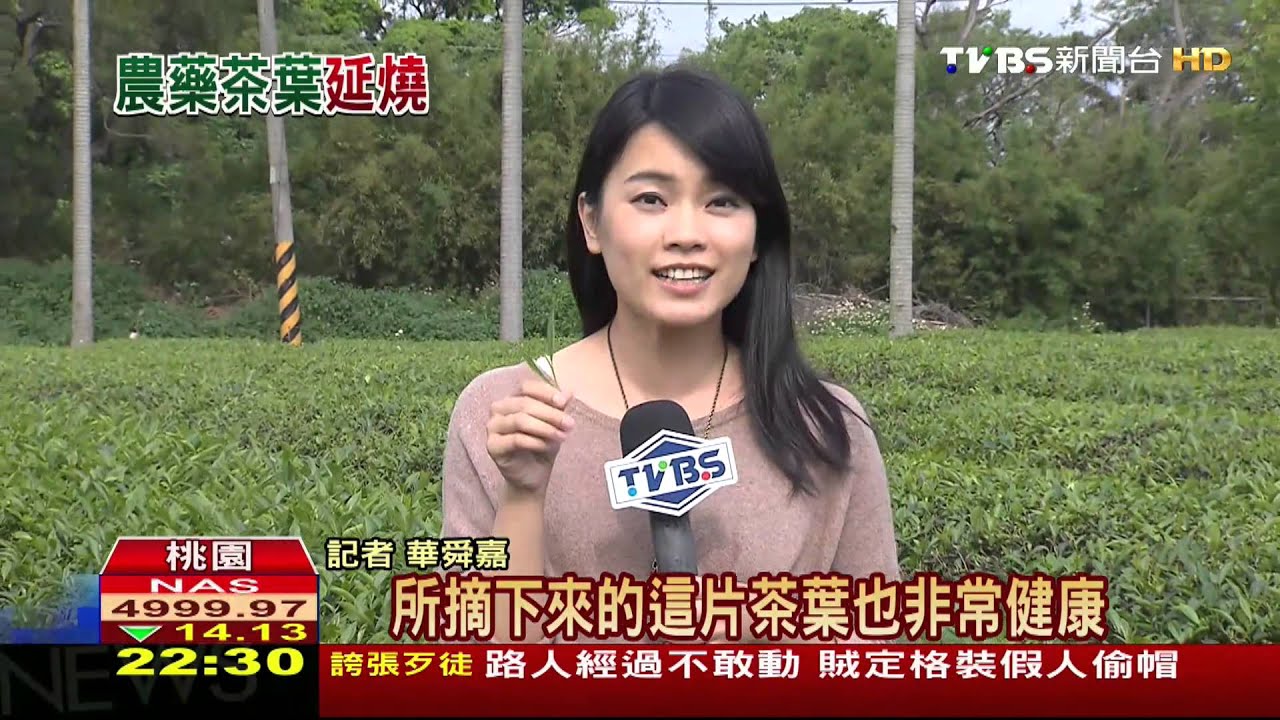 ​「每年抽3千件」查農藥　台灣茶合格率97%！
