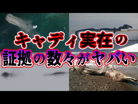 クーラモンのメインストリート