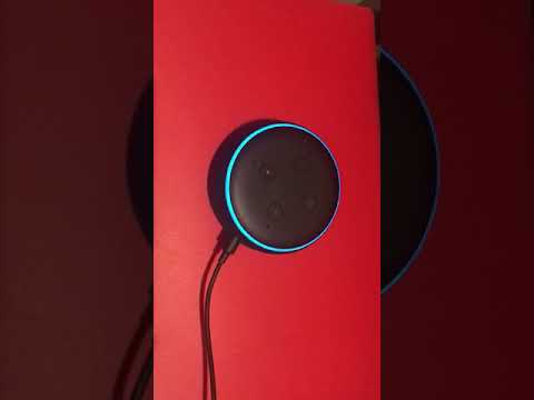 Ecco i vincitori di Sanremo scelti da Alexa, domotic influencer Ecco i vincitori di Sanremo scelti da Alexa, domotic influencer