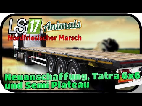 Neuanschaffung, Tatra 6x6 und Semi Plateau #075 ANIMALS - LS17 NORDFRIESISCHER MARSCH ★  FARMING SIM