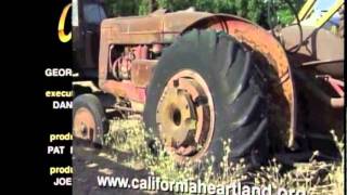 Last Tango In Paradise