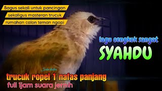 Download lagu trucukan gacor ropel 1nafas panjang lagu syahdu TERBAIK untuk pancingan sekaligus masteran mp3