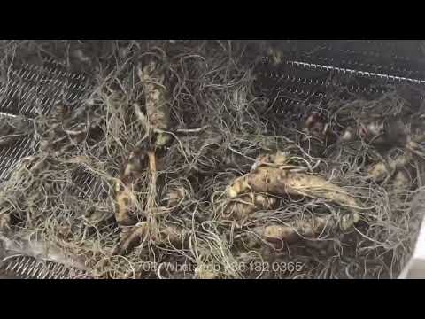 Herbal Medicine Washing Machine Leafy Vegetables Herbs Processing Cleaning Line
